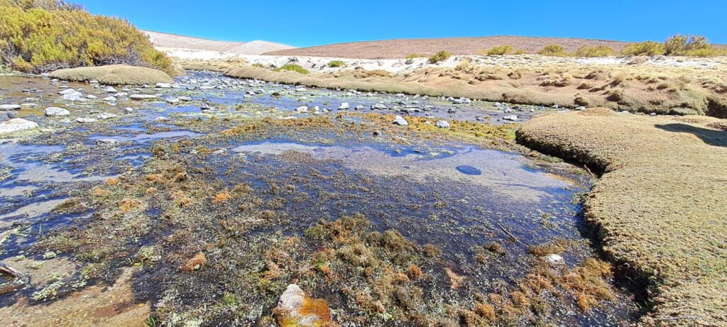 Desarrollo Ambiental ingeopad