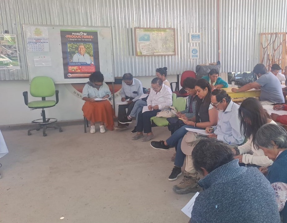desarrollo social servicios ingeopad